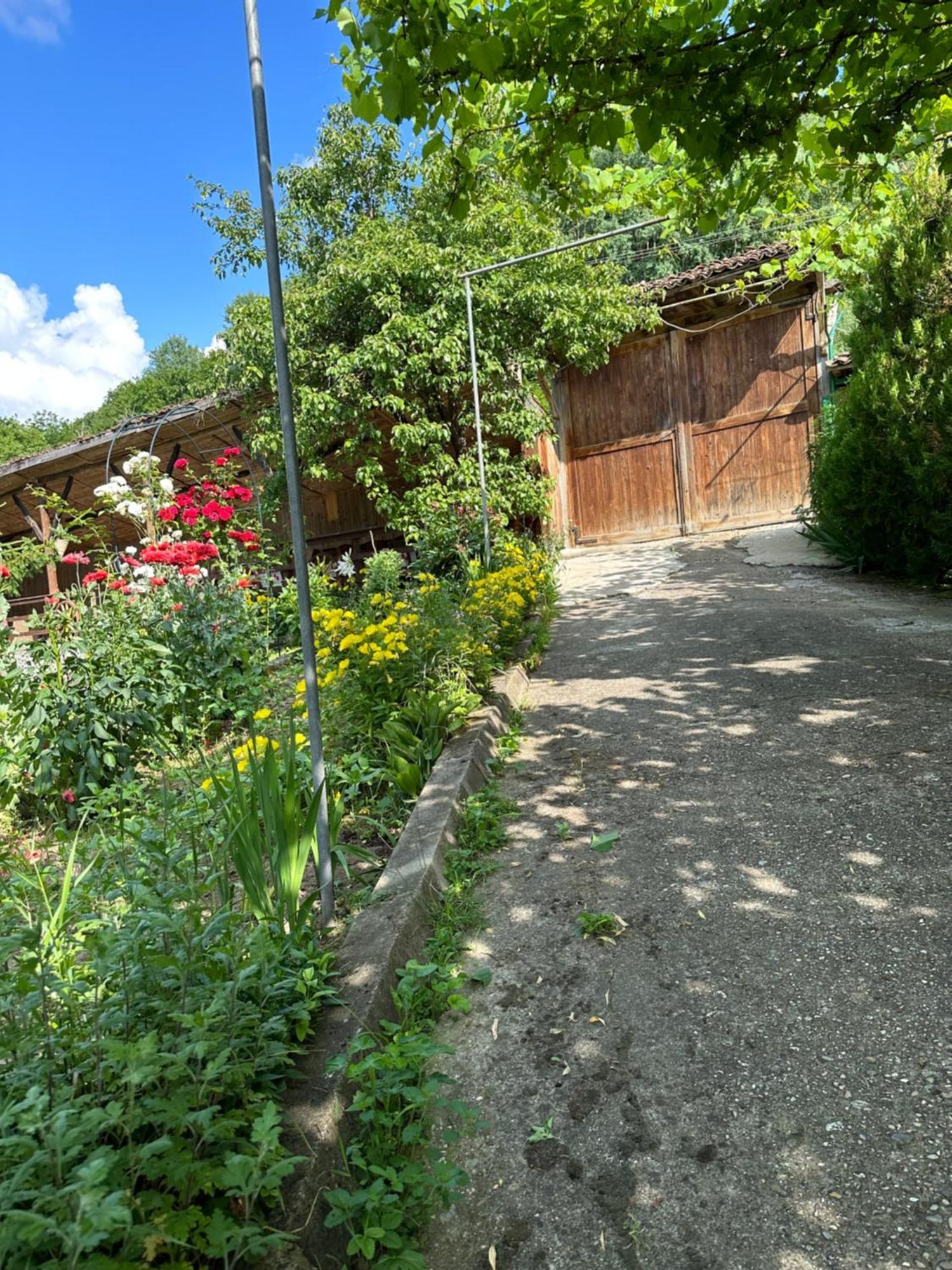 Вила Чевермето Palitsi Exterior photo